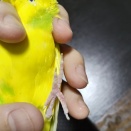 足の裏イタイイタイ対策