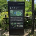 韓国地方旅行　デジョン旅⑧　市民のオアシス　大田広域市『ハンバッ樹木園　西園』　대전광역시　한밭수목원 서원
