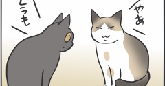 29日はぺーやんの日