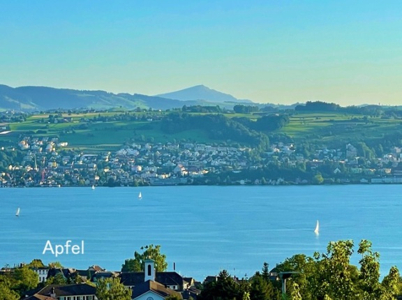 夏が戻ってきました🇨🇭