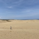 鳥取砂丘とこどもの国🐪