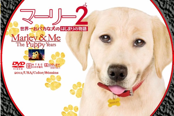 Dvd Cd Label Storage Warehouse 2 13 Dvd Cd Label Storage Warehouse 2 13