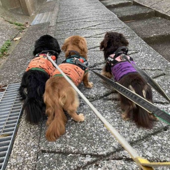 寝落ちママでした。