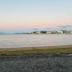 うるおいフルーティ再開