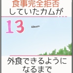 カムホーム kamuhome