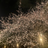 『人生を決定づける1枚の写真 vol.3585』の画像