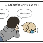 リンマンブルース　ゴールデンレトリバーの生態とマンガ
