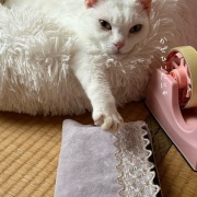 ＊実家の片付け38 トレーを作る②完成