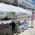 豪華絢爛！　三井オーシャンフジ寄港