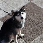 観音裏黄昏備忘録