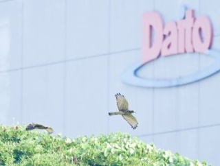 2026年8月2日の野鳥公園
