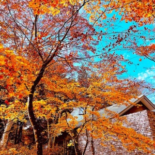 紀子の部屋・New