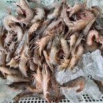 ある魚屋のつぶやき〜Let the good times roll～