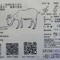 手摘み・高発酵 いずみ烏龍茶