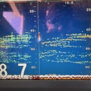 4月13日の釣果。