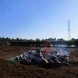 『青空・焚き火・焼き芋！』の画像