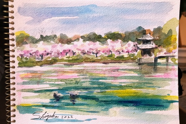 透明水彩画原画桜と山吹の散歩道 透明水彩画原画桜と山吹の散歩道