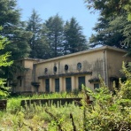 散歩と旅ときどき温泉