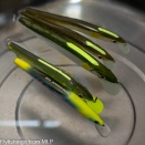 episode2814…浮き方の確認。