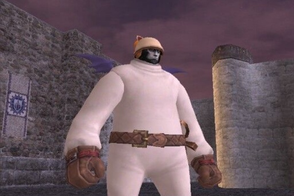 れおにっき Ff11