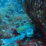 水先案内人の徒然日記