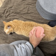 船便がやってきた！