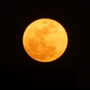 昨日は、4月の満月で｢ピンクムーン｣！