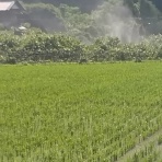 建築基準法違反の手抜き工事だらけのエクステリア、造園業界。　愛媛は今治の蒼園（しょうえん）