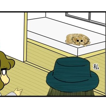 【番犬】会った事の無い飼い主の家族と対面する時【できるかな？】