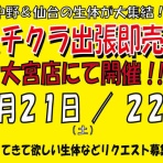 爬虫類倶楽部大宮店公式ブログ