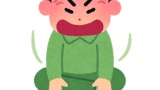 フロムゲーって基本は転がって避けて攻撃するだけなのに何でこれがアクションの最高峰みたいな扱い？