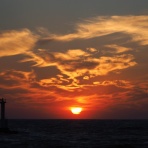 Photo by YO-RI　｢日々雑食」 ～館山・南房総～