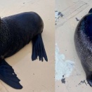 変わらないもの