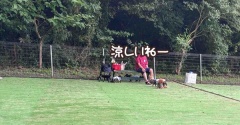 涼しい日曜日。ドッグランの小学兄弟。