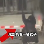 妻「夫が浮気してるかもしれない。夫のトラックに潜入して追跡してみるわ」 → 衝撃の展開にｗｗｗｗｗ