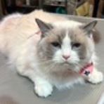 お客様のご紹介