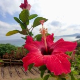 ��SUP�����ĥ���ͽ�� ���г�����ɽ���٤β���