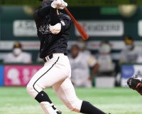 もしかしてワンチャン中村奨吾FAからの阪神入りある？