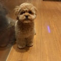 まん丸お顔
