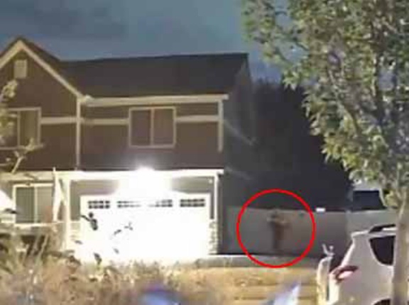 防犯カメラに映る住宅街での犯人の逃走劇。待て～！ → １番目立っていたのはコイツです…