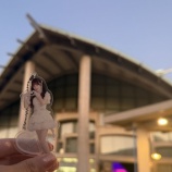 『[イコラブ] 莉沙ちゃんのガチヲタ青柳佑芽ちゃん沖縄遠征』の画像