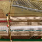 しまなみpianoのblog