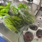 南坊園のブログ