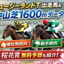 ニュージーランドT出走馬＆中山芝1600mデータ｜種牡馬・騎手傾向まとめ