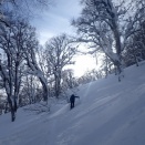 2026年3月の集会・例会について