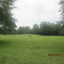 浜田山：柏の宮：テニス、フランス料理