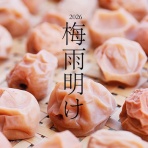 シンプルライフ × シンプルスタイル