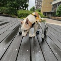 やっと終わった