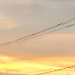 私の好きな時間空間仲間たち…一日一楽