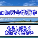 ピニピニ同人を考える